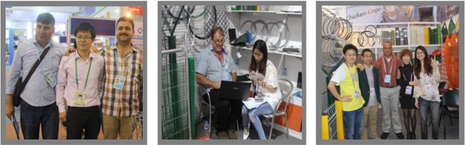 Anping Taiye Metal Wire Mesh Products Co.,Ltd