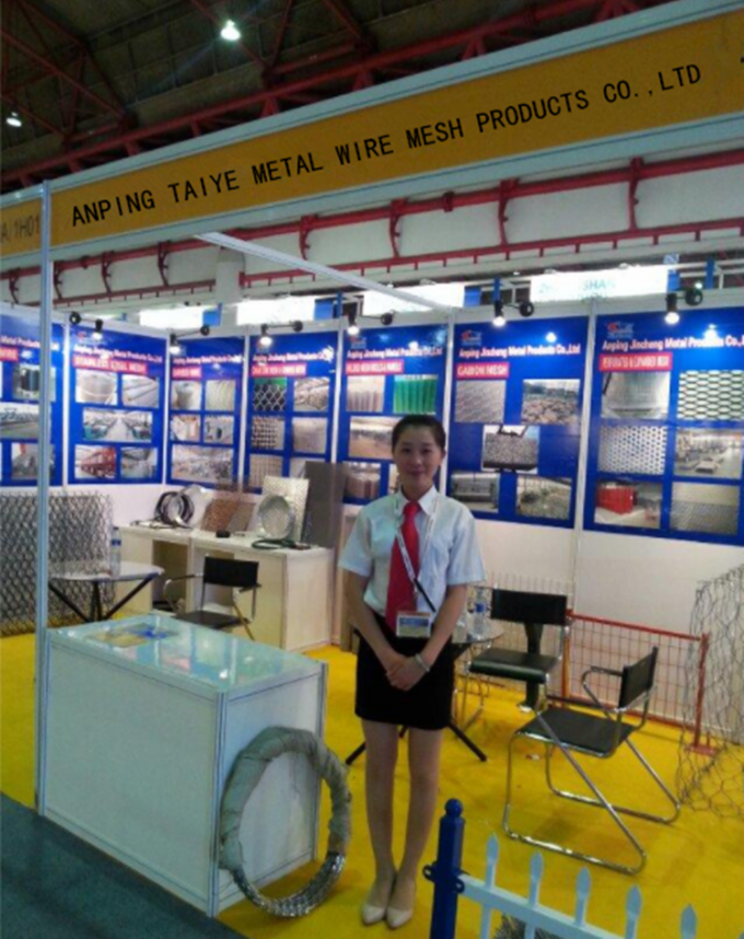 Anping Taiye Metal Wire Mesh Products Co.,Ltd