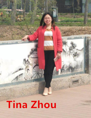 Anping Taiye Metal Wire Mesh Products Co.,Ltd