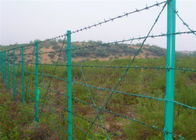 Barriera di sicurezza rivestita di verde del filo spinato del PVC Lowa sulla cima del recinto del collegamento a catena