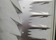 La grande parete anti- d'acciaio di salita chioda l'uccello, punte durevoli della parete del metallo