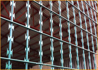 Metodo galvanizzato di torsione del recinto ricoperto PVC della rete metallica del rasoio di BTO 22 singolo