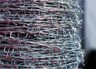 Recinto pungente del filo zincato del filo spinato di torsione del doppio del rotolo fatto di ferro
