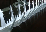 Cime di progettazione della punta 11cm del rasoio della guarnizione di punte di sicurezza della parete della cobra del recinto