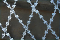 Singolo involucro piano saldato lunga vita della rete metallica di filo zincato del filo spinato della maglia del rasoio
