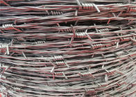 Calibro Barbwire del recinto ricoperto zinco 14 dell'azienda agricola del cavo di Barb con le specifiche personalizzabili