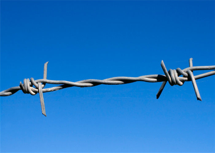 La rete metallica galvanizzata iso del filo spinato della prigione del gaucho del ferro Sucurity recinta