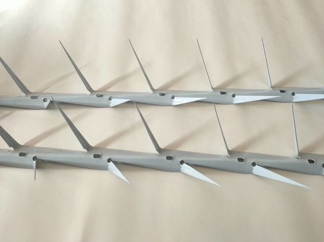 Punte della parete di furto di anti salita di sicurezza del rasoio anti nel colore bianco galvanizzate