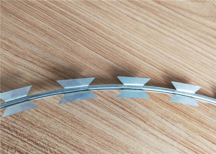Filo spinato arrotolato del rasoio di colore d'argento, campione a spirale del filo spinato disponibile