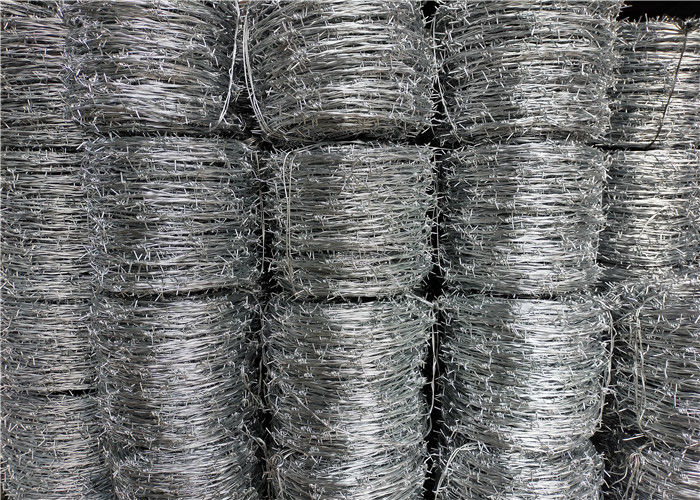 Tipo galvanizzato non tipo tradizionale dello Iowa del filo spinato di sicurezza del rasoio