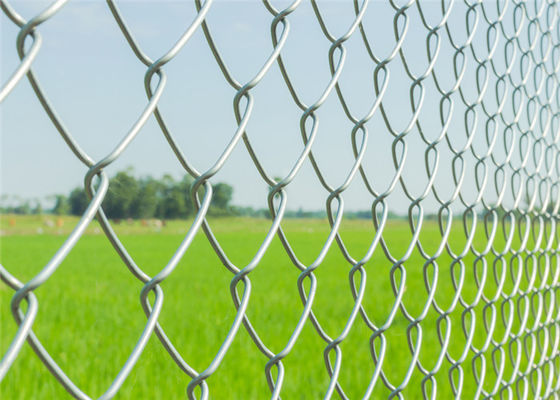 Acciai galvanizzato resistente collegamento a catena di 25m x di 1.8m che recinta maglia